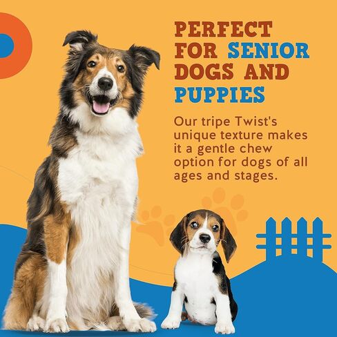 Jack & Pup 12 "Tripe Twist للكلاب | مضغ الكلب الخالي من الجلود الخام يدوم طويلاً | مكون واحد منخفض السعرات الحرارية للكلاب | لا يخفي مضغ الكلب أمعاء كبيرة للكلاب (لحم البقر - 15 عددًا) in Kuwait
