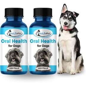 BestLife4Pets Dog Bad Breath & Dental Care, Natural Oral Care for Dogs Gums, Gingivitis, Tooth Pain, Easy to Use Dog Breath Freshener, Plaque Remover & Pet Teeth Cleaning Pill, Hide in a Chew or Treat in Kuwait