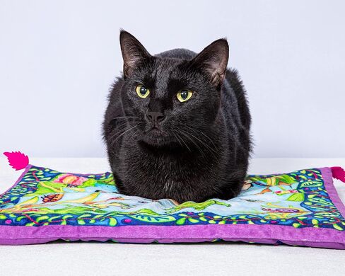 FUZZU Sweet Spot Kitty Carpet with Catnip (Summer's Dream) in Kuwait