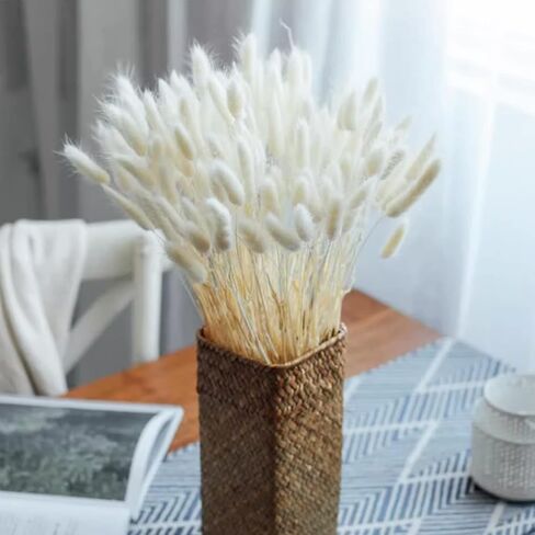 20 PCS Billy Balls Flowers Dried Golden Ball Flower Bouquet Dried Craspedia Globosa Decor for DIY Crafts Wreath Home Decor Cake Decor Wedding Decor Party Centerpieces Decor (Golden) in Kuwait