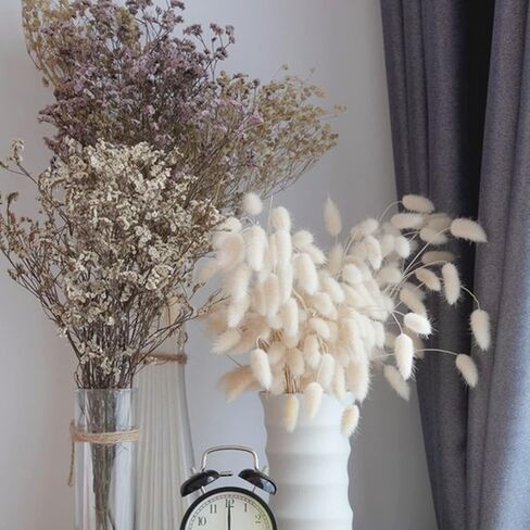 20 PCS Billy Balls Flowers Dried Golden Ball Flower Bouquet Dried Craspedia Globosa Decor for DIY Crafts Wreath Home Decor Cake Decor Wedding Decor Party Centerpieces Decor (Golden) in Kuwait