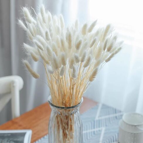 20 PCS Billy Balls Flowers Dried Golden Ball Flower Bouquet Dried Craspedia Globosa Decor for DIY Crafts Wreath Home Decor Cake Decor Wedding Decor Party Centerpieces Decor (Golden) in Kuwait