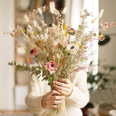 20 PCS Billy Balls Flowers Dried Golden Ball Flower Bouquet Dried Craspedia Globosa Decor for DIY Crafts Wreath Home Decor Cake Decor Wedding Decor Party Centerpieces Decor (Golden) in Kuwait