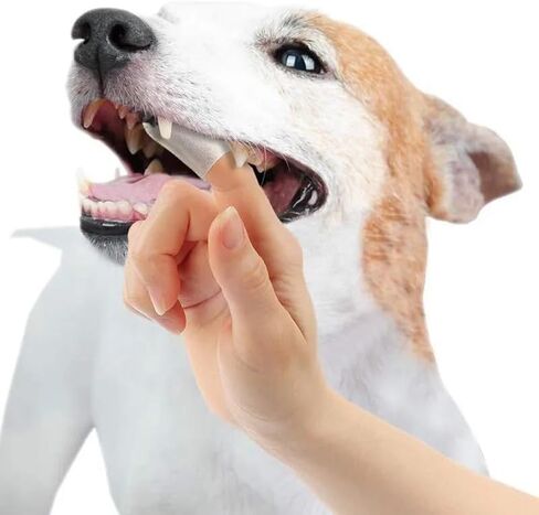 مناديل مبللة لتنظيف أسنان القطط من فريش فريندز - تقلل من البلاك وتنعش التنفس - مناديل مبللة للحيوانات الأليفة للقطط - صحة الفم للقطط - مناديل أسنان القطط - 50 قطعة - نكهة الحليب in Kuwait