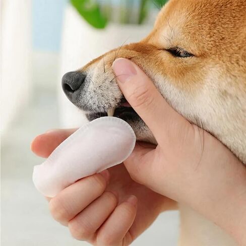 مناديل مبللة لتنظيف أسنان القطط من فريش فريندز - تقلل من البلاك وتنعش التنفس - مناديل مبللة للحيوانات الأليفة للقطط - صحة الفم للقطط - مناديل أسنان القطط - 50 قطعة - نكهة الحليب in Kuwait