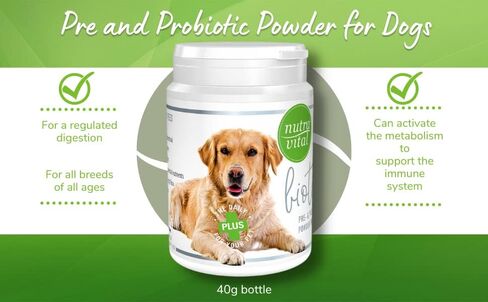 NutraVital Biotic Dog - Pre & Probiotics Powder for Dogs - Prebiotic & Probiotic Supplement for Gut Flora Digestive Health Bowel & Immune System Support - Functional Blend Veterinary Supplements in Saudi Arabia