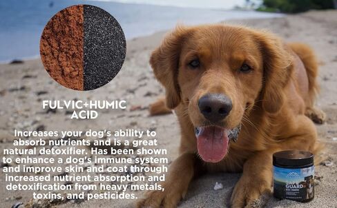 البروبيوتيك الآمن للكلاب مع التخلص من السموم ومعادن الفولفيك لتخفيف الحساسية والحكة الجلدية والإسهال وتحسين نظام المناعة والطاقة لدى الكلب (مسحوق، 70 جرام) in Kuwait