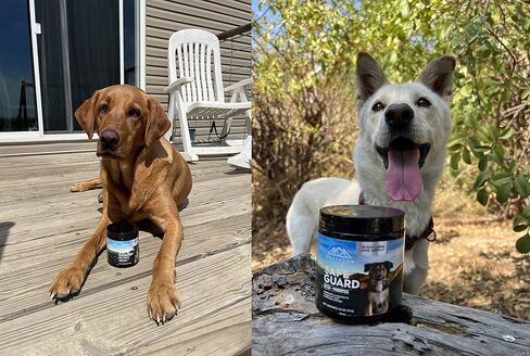 البروبيوتيك الآمن للكلاب مع التخلص من السموم ومعادن الفولفيك لتخفيف الحساسية والحكة الجلدية والإسهال وتحسين نظام المناعة والطاقة لدى الكلب (مسحوق، 70 جرام) in Kuwait