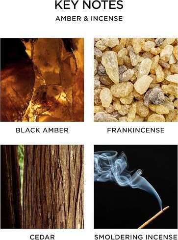 NEST Fragrances Amber & Incense Reed Diffuser, 5 Fluid Ounces in Kuwait