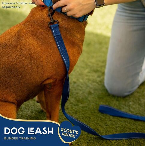 Good Scout Heavy Duty Bungee Leash, Walking & Training Leash for Puppies & Adult Dogs, Blue, Large in Kuwait