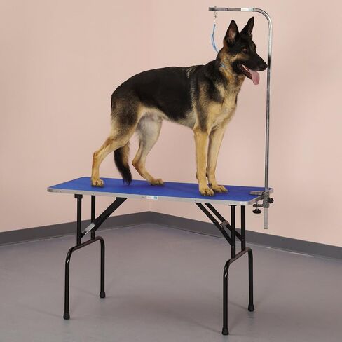 Pet Any Way LLC Master Equipment Grooming Table in Kuwait