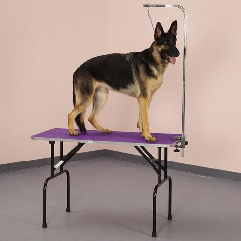 Pet Any Way LLC Master Equipment Grooming Table in Kuwait