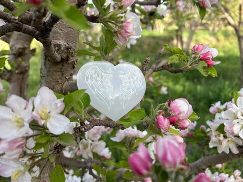 أجنحة ملاك القلب المنقوشة من Xen Minerals Selenite - قلوب وأحجار كريستالية أصلية للشفاء وتوازن الشاكرا، بلورات وصخور على شكل قلب، أحجار كريمة بيضاء شفافة صغيرة مقاس 7.62 سم ​​هالة صحية هادئة in Kuwait