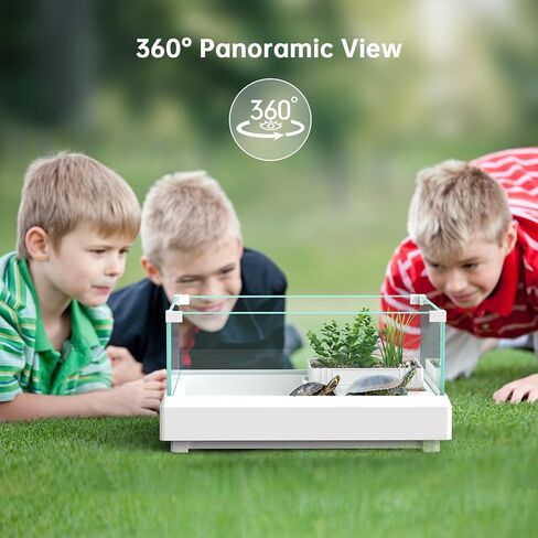 خزان السلحفاة الزجاجي، مرابيات الزواحف لموائل السلحفاة من سيليكار مع منصة تشمس، منطقة متعددة الوظائف، سهلة تغيير المياه، موطن للسلاحف، وسرطان البحر الناسك، والتيرابين والزواحف الصغيرة - كبيرة in Kuwait