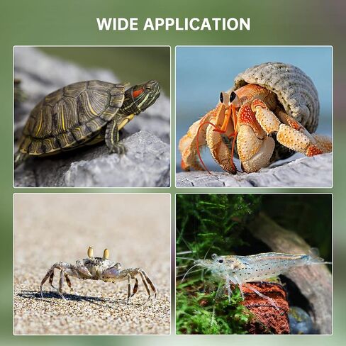 خزان السلحفاة الزجاجي، مرابيات الزواحف لموائل السلحفاة من سيليكار مع منصة تشمس، منطقة متعددة الوظائف، سهلة تغيير المياه، موطن للسلاحف، وسرطان البحر الناسك، والتيرابين والزواحف الصغيرة - كبيرة in Kuwait