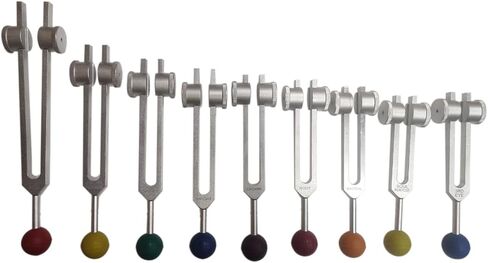 روح شاكرا الراديكالية بما في ذلك نجمة الأرض مجموعة من 9 شوكات ضبط علاجية مرجحة مع كرات شاكرا الملونة في الحقيبة مع المنشط in Kuwait