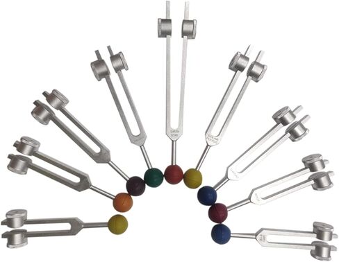 روح شاكرا الراديكالية بما في ذلك نجمة الأرض مجموعة من 9 شوكات ضبط علاجية مرجحة مع كرات شاكرا الملونة في الحقيبة مع المنشط in Kuwait