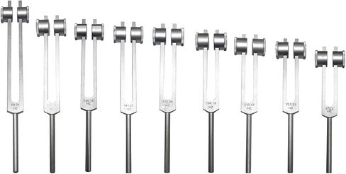 روح شاكرا الراديكالية بما في ذلك نجمة الأرض مجموعة من 9 شوكات ضبط علاجية مرجحة مع كرات شاكرا الملونة في الحقيبة مع المنشط in Kuwait