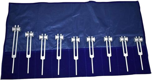 روح شاكرا الراديكالية بما في ذلك نجمة الأرض مجموعة من 9 شوكات ضبط علاجية مرجحة مع كرات شاكرا الملونة في الحقيبة مع المنشط in Kuwait