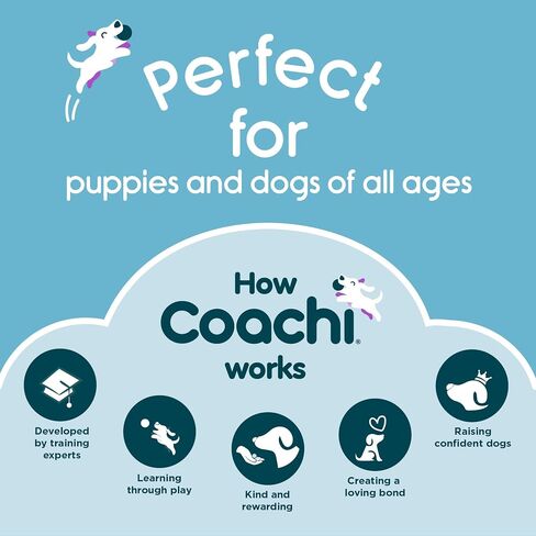 Coachi Tuggi Tug - Interactive Dog Toy for Tug of War & Play in Kuwait