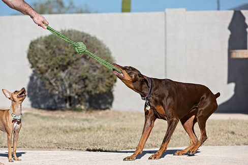 Jolly Pets Knot-N-Chew Large/X Large Gentle Tugger Rope Dog Toy in Saudi Arabia