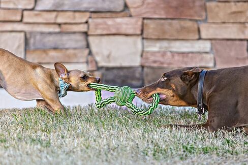 Jolly Pets Knot-N-Chew Large/X Large Gentle Tugger Rope Dog Toy in Saudi Arabia