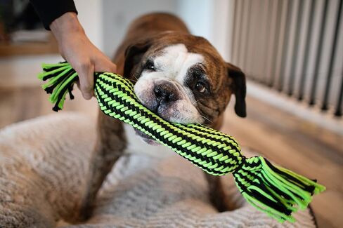 Jolly Pets Knot-N-Chew Large/X Large Gentle Tugger Rope Dog Toy in Saudi Arabia