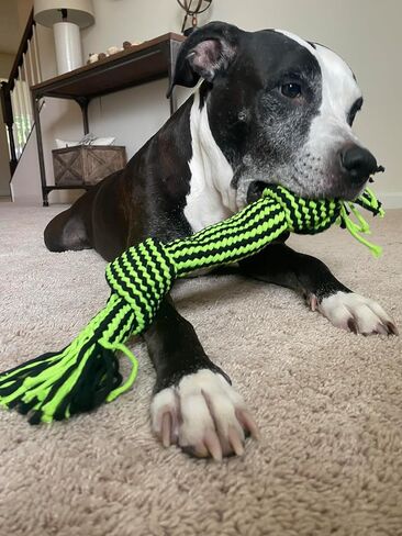 Jolly Pets Knot-N-Chew Large/X Large Gentle Tugger Rope Dog Toy in Saudi Arabia