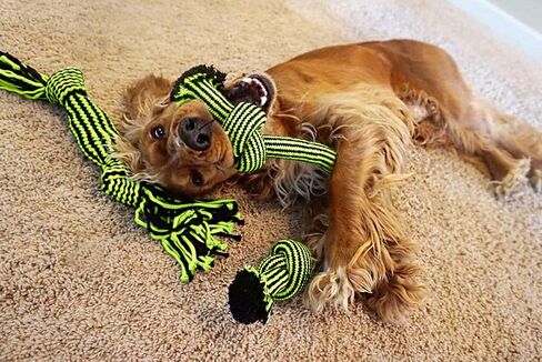Jolly Pets Knot-N-Chew Large/X Large Gentle Tugger Rope Dog Toy in Saudi Arabia