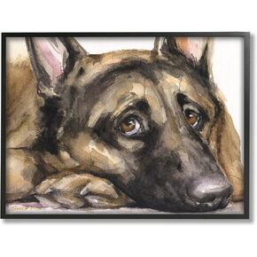 Stupell Industries Tired German Shepherd Dog Resting Head On Paw, Design by George Dyachenko, 30 x 24, Black Framed in Kuwait