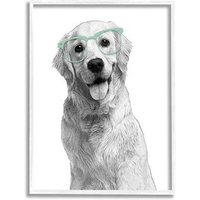 Stupell Industries Monochrome Golden Retriever Dog Smiling Glasses, Design by Annalisa Latella, 24 x 30, White in Kuwait