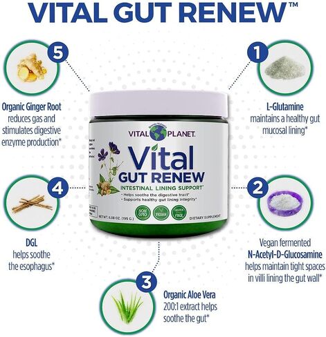 Vital Planet - Vital Gut Renew Powder Supplement for Leaky Gut Repair with L-Glutamine, Marshmallow and Ginger Root, DGL Licorice Root and Organic Aloe Vera, L Glutamine 6000mg 6.88 oz in Saudi Arabia