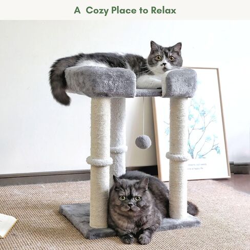 Petfelix Small Cat Tree with 20" Cat Scratching Post, Elevated Cat Bed, Cat Hammock Bed, Small Cat Tower Hammock, Cat Scratching Posts for Indoor Cats in Kuwait