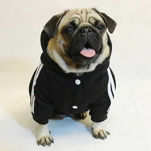 Weowin Pet Outfit - Cute Dog Hoodie Tracksuit Sweater Winter Clothes Pajamas Jumpsuit 4-Legs Black for Puppy Small Medium Large Dogs Girl or Boy (XX-Small) in Kuwait