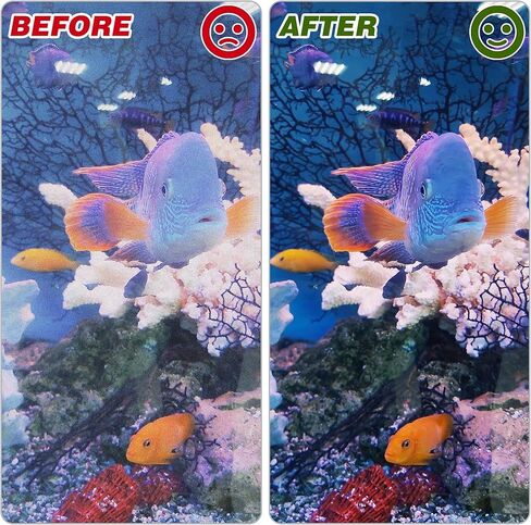 Bylion 6 Pack Filter Foam Sponges, Aquarium Cleaner Aquarium Bio Sponge Sheet Filter Media Pad Foam Fish Tank Cleaning Tools for Glass Walls Turtle & Fish Tank in Kuwait