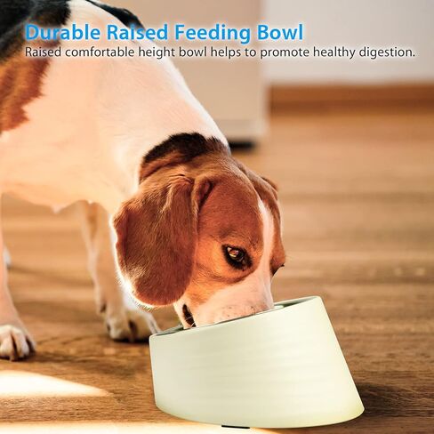 Tilted Angle Dog Bowl, 15° Slanted Stainless Steel Dog Cat Food Bowl, Non-Slip & Non-Spill Pet Feeder with Elevated Detachable Melamine Stand, Easy to Get Food Dog Dish, Small 0.5 Cup Black in Kuwait