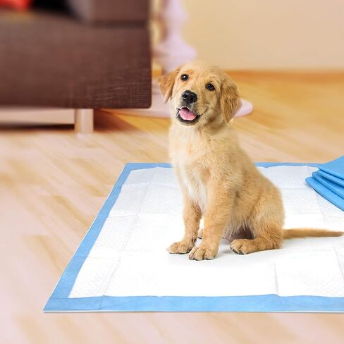 Four Paws Pet Select Pee Pee Pads for Dogs and Puppies 30 Count Standard: 22" x 22" in Saudi Arabia