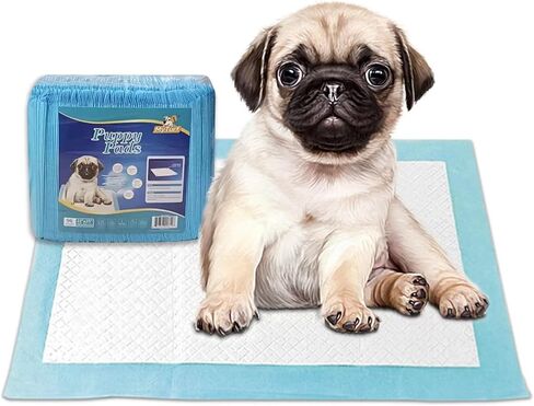 وسادات KAISA عالية الجودة للكلاب - 48 قطعة، 22 بوصة × 23 بوصة، وسادات تدريب الحيوانات الأليفة فائقة الامتصاص مع تصميم نونية للكلاب مضادة للتسرب، KSU-08133 in Kuwait