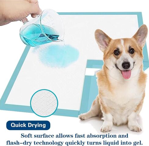 وسادات KAISA عالية الجودة للكلاب - 48 قطعة، 22 بوصة × 23 بوصة، وسادات تدريب الحيوانات الأليفة فائقة الامتصاص مع تصميم نونية للكلاب مضادة للتسرب، KSU-08133 in Kuwait