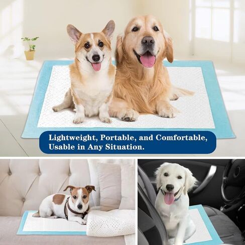 وسادات KAISA عالية الجودة للكلاب - 48 قطعة، 22 بوصة × 23 بوصة، وسادات تدريب الحيوانات الأليفة فائقة الامتصاص مع تصميم نونية للكلاب مضادة للتسرب، KSU-08133 in Kuwait