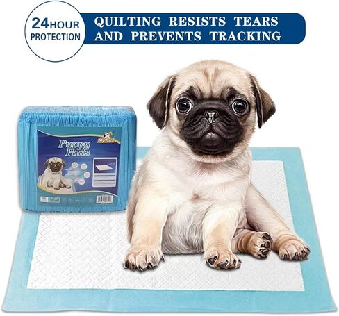 وسادات KAISA عالية الجودة للكلاب - 48 قطعة، 22 بوصة × 23 بوصة، وسادات تدريب الحيوانات الأليفة فائقة الامتصاص مع تصميم نونية للكلاب مضادة للتسرب، KSU-08133 in Kuwait