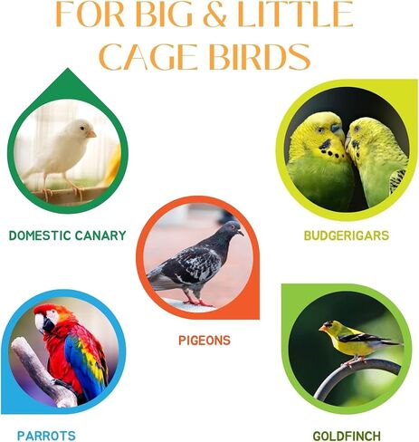 فيتامينات VHD MyBird Nova المتعددة للطيور في الأقفاص - لطيور الببغاء والكناري المنزلي والببغاوات وطيور الحسون والحمام والطيور الكبيرة والصغيرة في الأقفاص، مكمل فيتامين للطيور، عبوتين - (60 مل) 2 أونصة in Kuwait