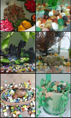 Rooxin 1.1lb Polished Stones Fish Tank Pebbles,Mixed Color Agate Stone Gravel, Decorative Stones for Plants Cacti & Succulents Bedding, Landscape, Vase Filler, Indoor Fountain Stones 0.78-1.18 Inch in Saudi Arabia