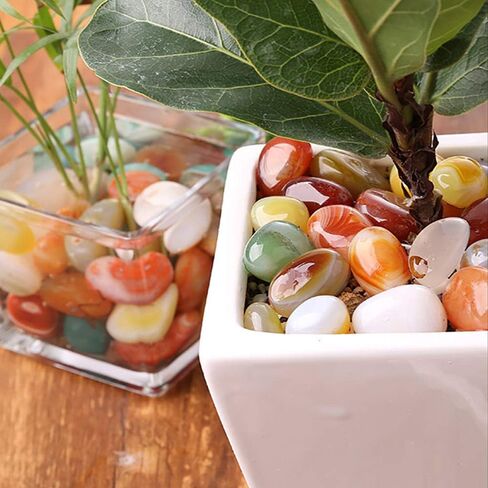 أحجار العقيق المصقولة من Oubest، حصى كريستالية ملونة لصخور حوض السمك، حصى حوض السمك، أحجار كريمة حشو مزهرية 1.1 رطل/500 جم (15-20 مم) in Kuwait