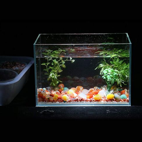 أحجار العقيق المصقولة من Oubest، حصى كريستالية ملونة لصخور حوض السمك، حصى حوض السمك، أحجار كريمة حشو مزهرية 1.1 رطل/500 جم (15-20 مم) in Kuwait