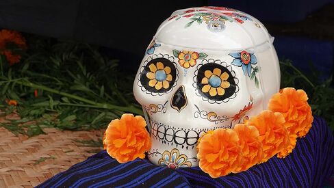 Z3N 50 pc Orange Marigold Flower Heads. Mexican Cempasuchil. Silk Artificial Flowers (Without stem) in Saudi Arabia