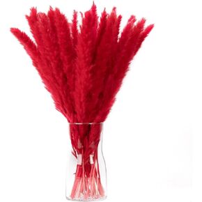 باقة عشب بامباس الحمراء 30 قطعة XMFAYUAN، عشب القصب، زهور مجففة، نبات مجفف عشب بامباس ملون لديكور المنزل والهدايا in Kuwait