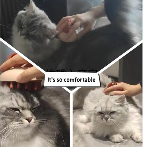 Pet massage brush Wet and dry use for cat and dogs with fluffy animals Two brush bodies for different animals and body parts，dog bath brush in Kuwait