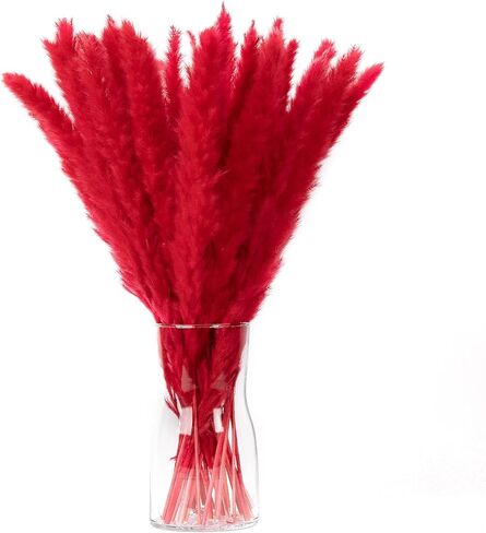 باقة عشب بامباس الحمراء 30 قطعة XMFAYUAN، عشب القصب، زهور مجففة، نبات مجفف عشب بامباس ملون لديكور المنزل والهدايا in Kuwait