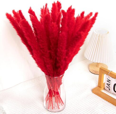 باقة عشب بامباس الحمراء 30 قطعة XMFAYUAN، عشب القصب، زهور مجففة، نبات مجفف عشب بامباس ملون لديكور المنزل والهدايا in Kuwait